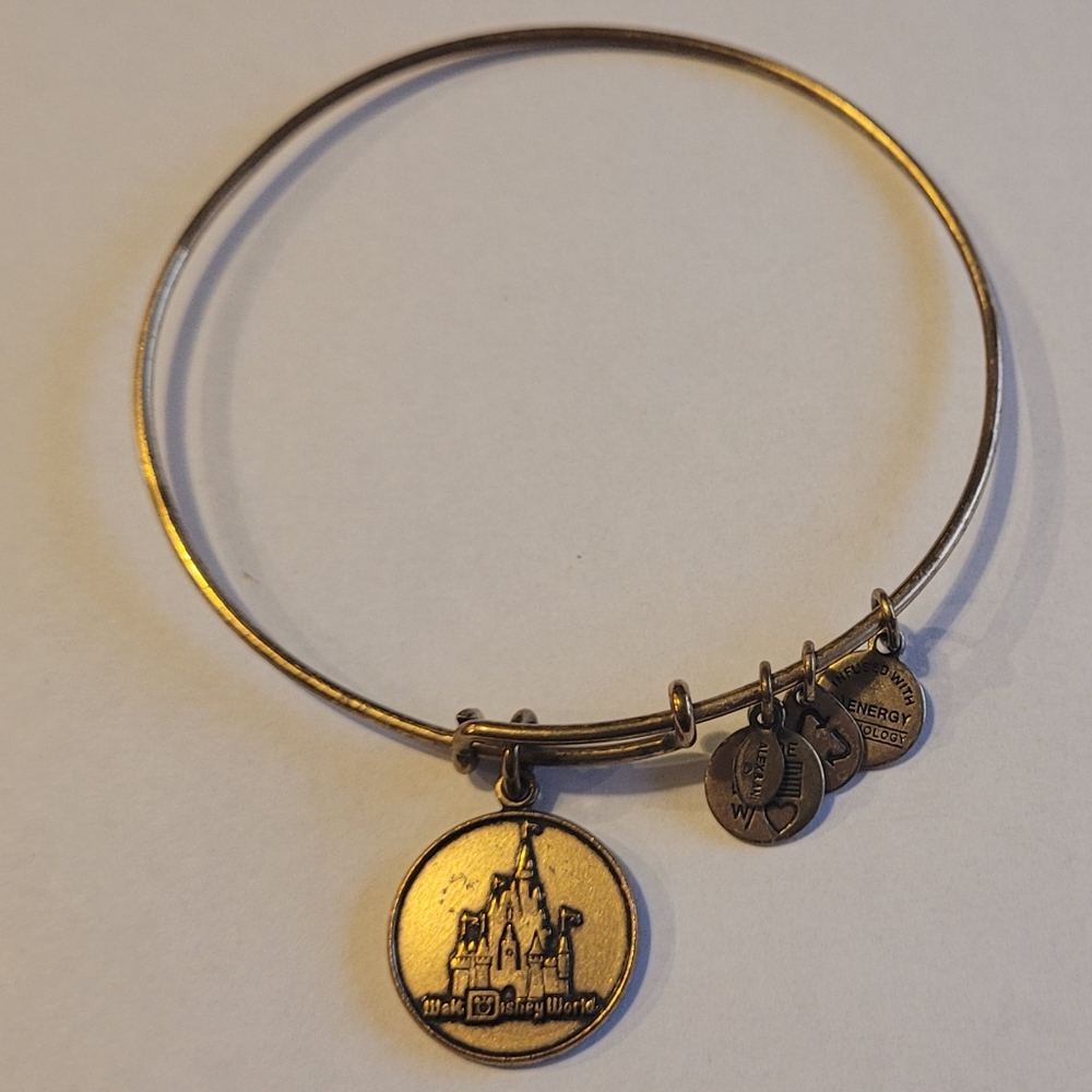 Disney Alex and Ani